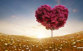 Get A Guide From Love Astrologer to Live a Happy Life